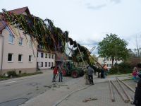 2015-04-30 TTC Maibaum stellen 021 (P1090081)